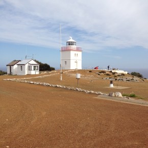 Cape Borda